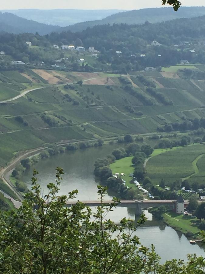 Weingut & Gaestehaus Edwin Hoffmann Тріттенгайм Екстер'єр фото