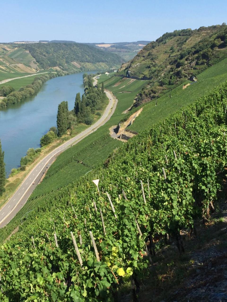 Weingut & Gaestehaus Edwin Hoffmann Тріттенгайм Екстер'єр фото